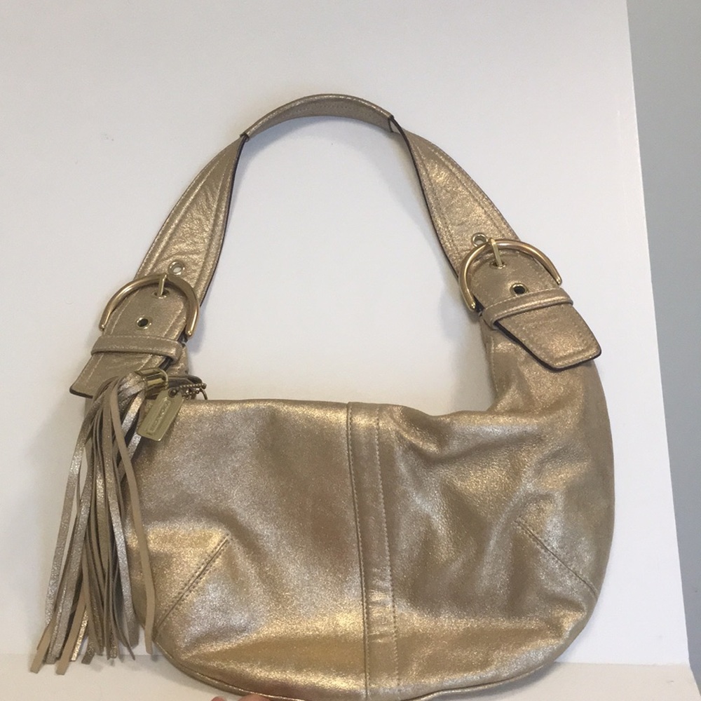 Coach Evening Bag
